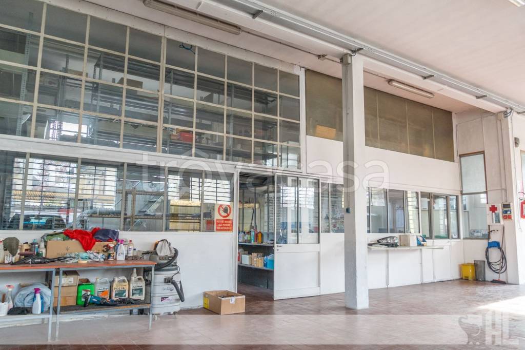 immagine annuncio 7 di 11