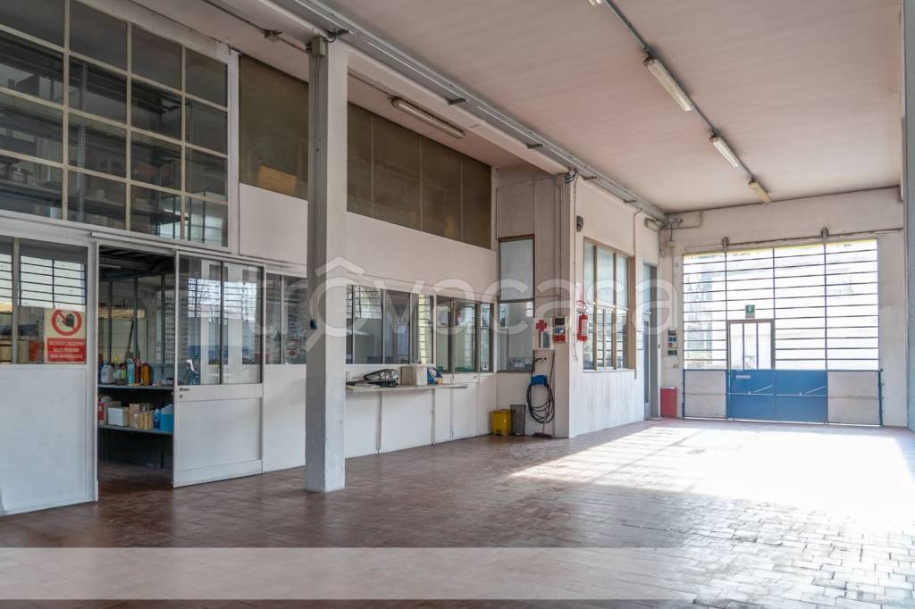 immagine annuncio 8 di 11