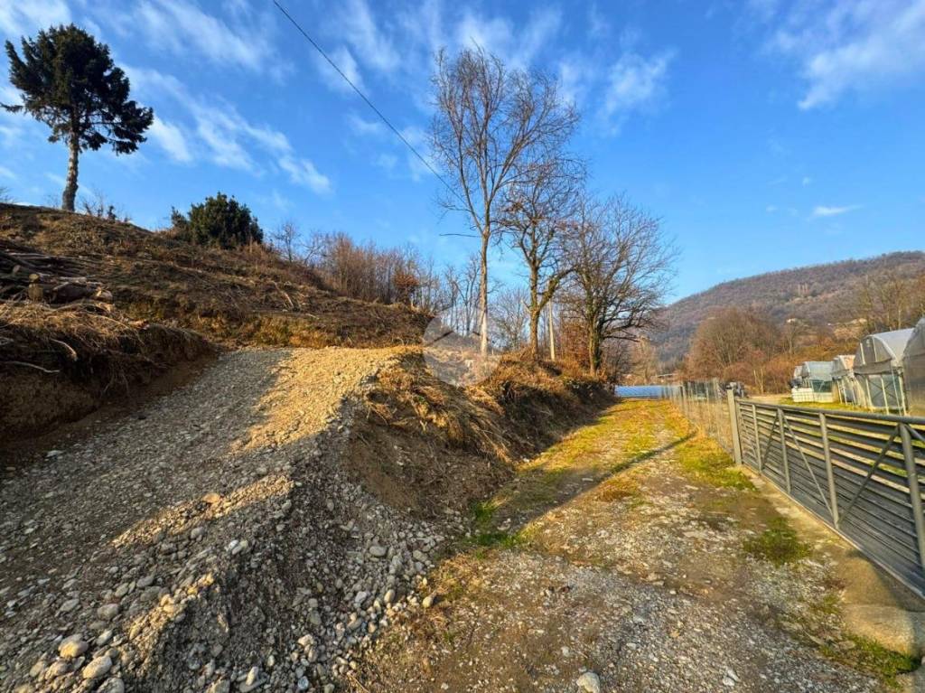 immagine annuncio 6 di 9