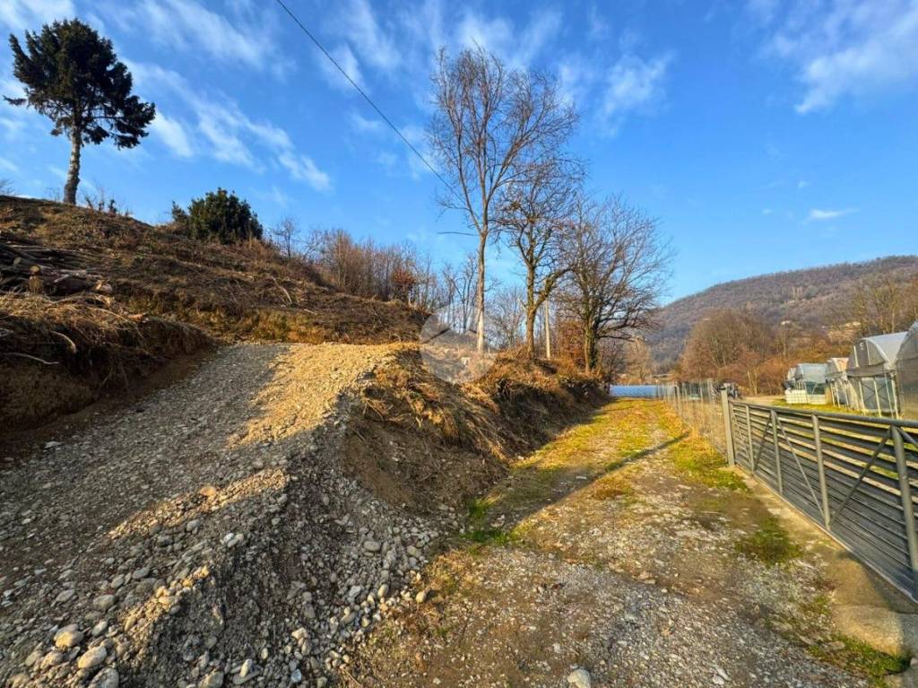 immagine annuncio 8 di 9