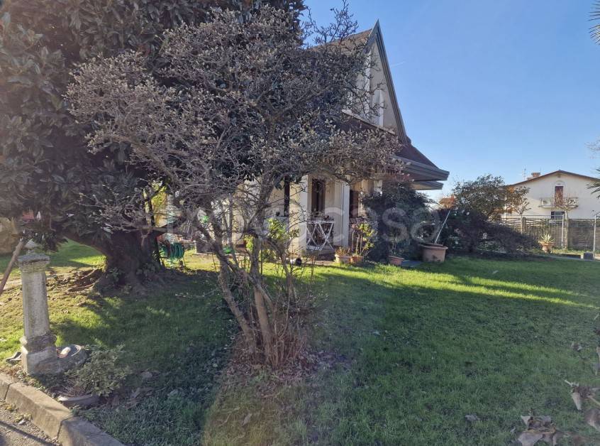 immagine annuncio 2 di 11