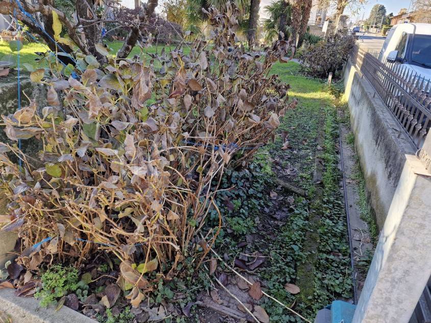 immagine annuncio 3 di 11