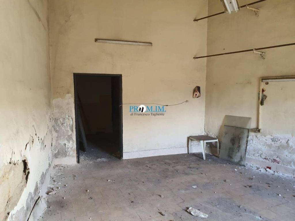 immagine annuncio 5 di 14