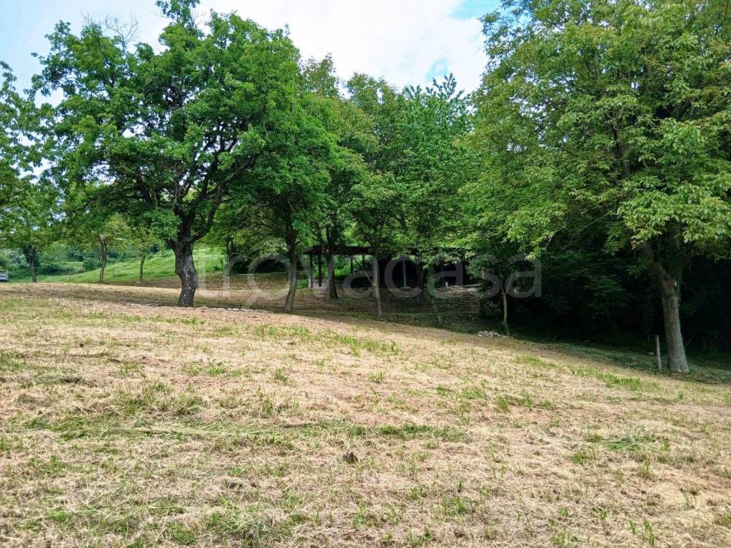 immagine annuncio 4 di 11