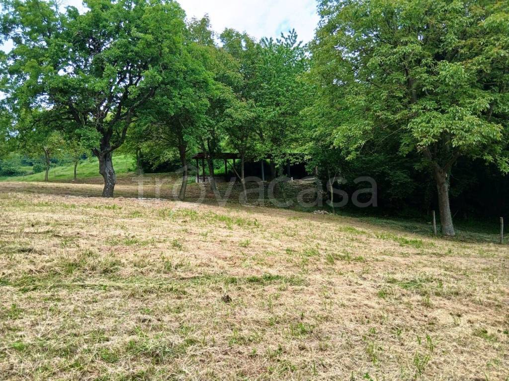 immagine annuncio 5 di 11