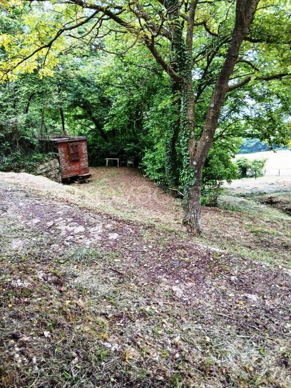 immagine annuncio 6 di 11