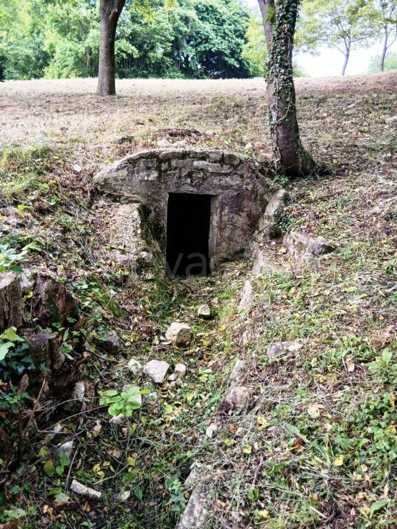 immagine annuncio 8 di 11