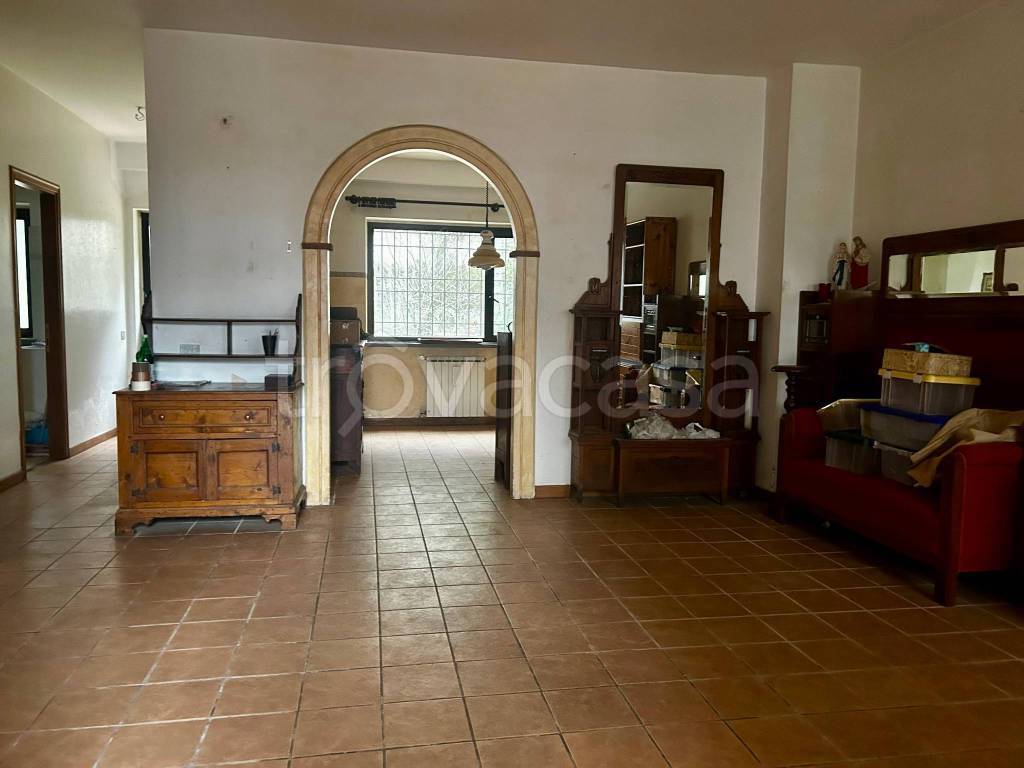 immagine annuncio 4 di 14