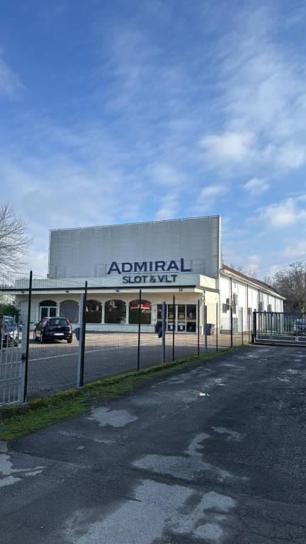 immagine annuncio 2 di 7