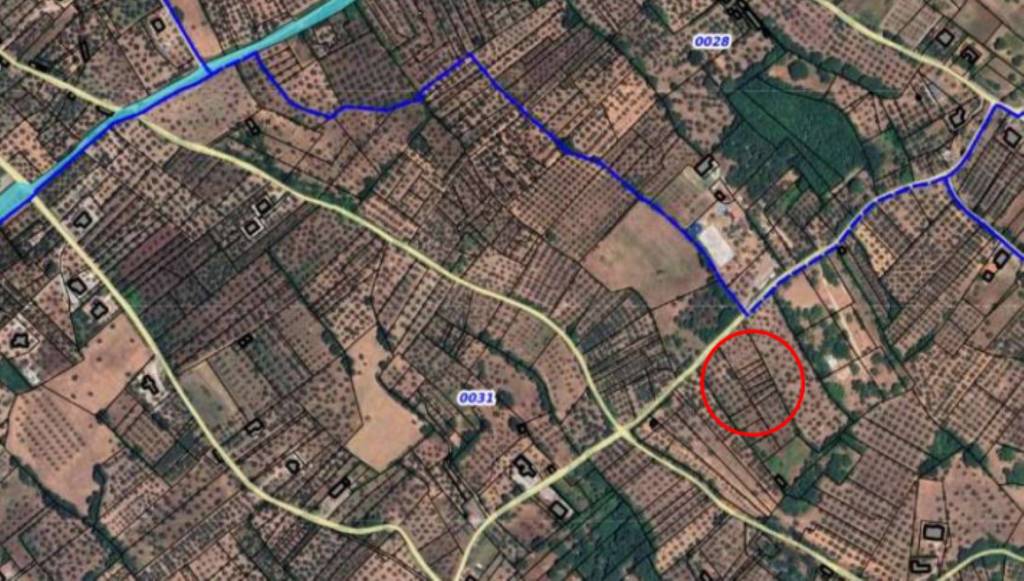 immagine annuncio 10 di 11