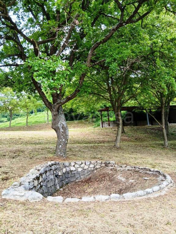 immagine annuncio 3 di 9