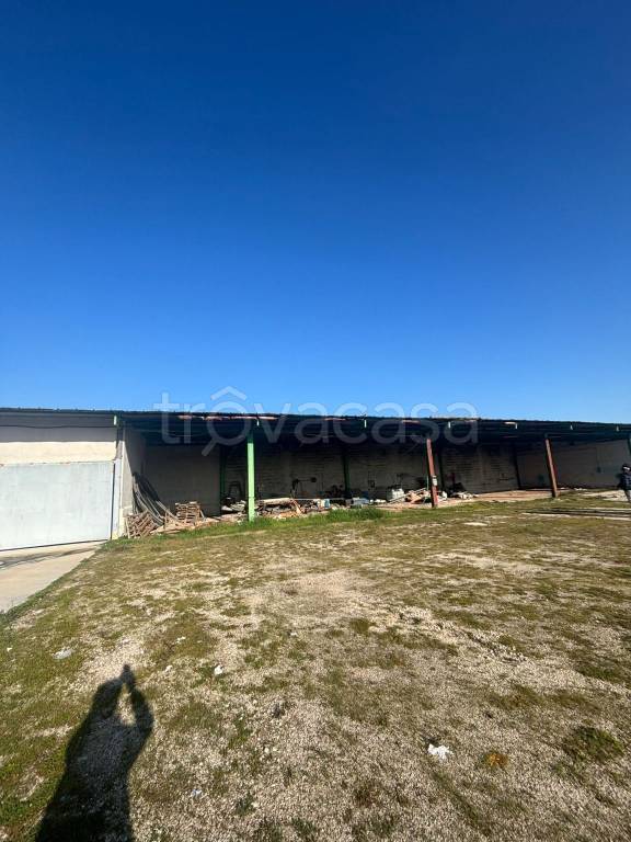 immagine annuncio 2 di 9