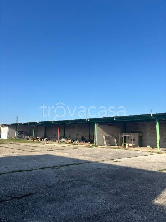 immagine annuncio 5 di 9