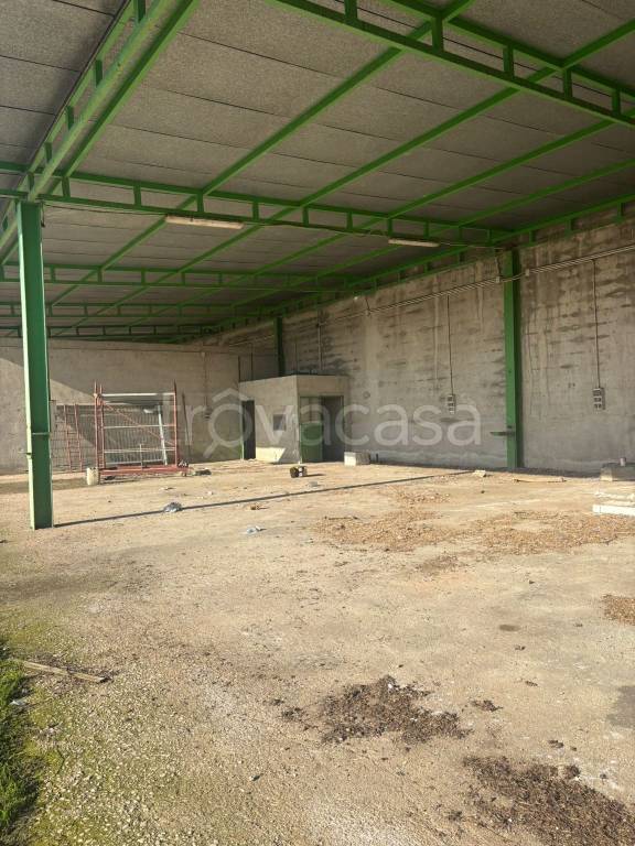 immagine annuncio 6 di 9