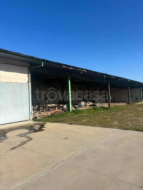 immagine annuncio 7 di 9