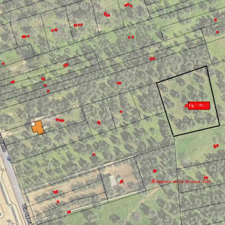 immagine annuncio 1 di 2