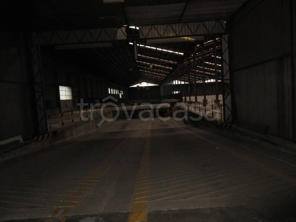 immagine annuncio 6 di 8