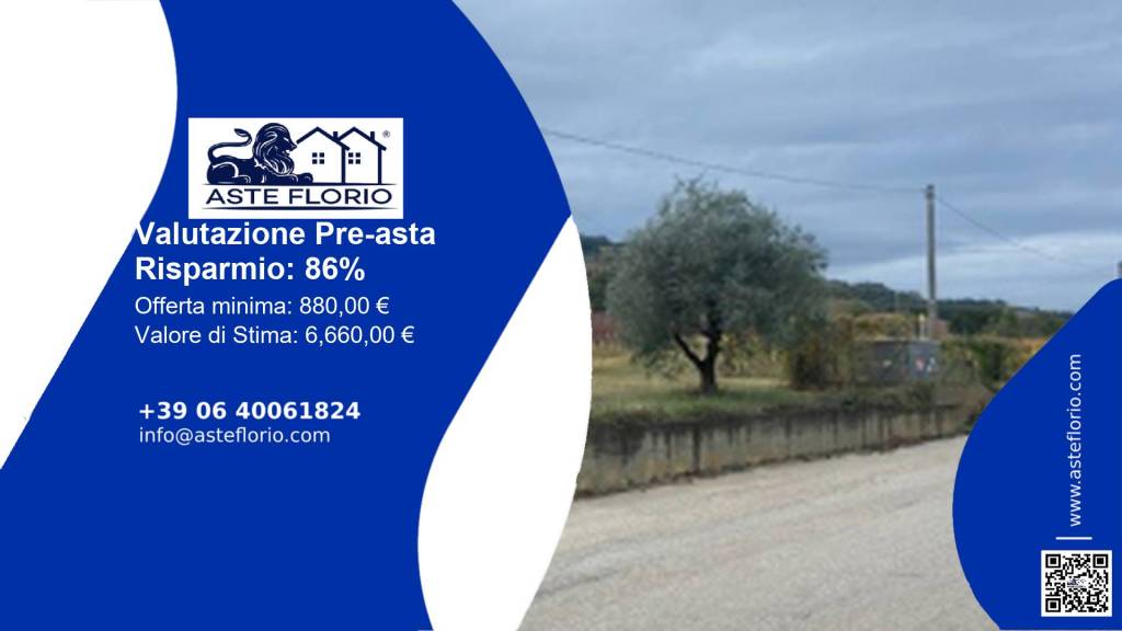 immagine annuncio 1 di 12