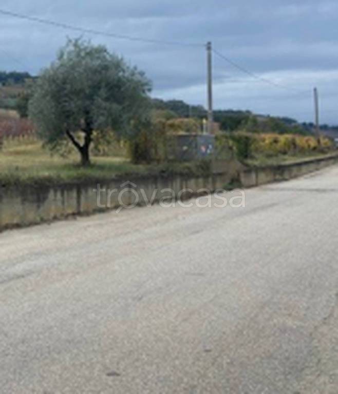 immagine annuncio 7 di 11