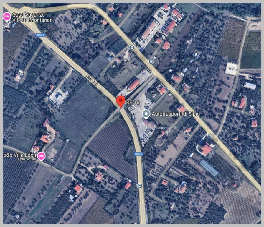 immagine annuncio 6 di 15