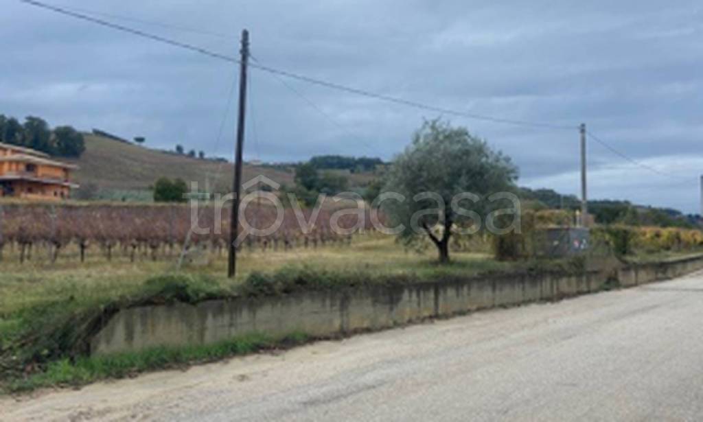 immagine annuncio 10 di 11