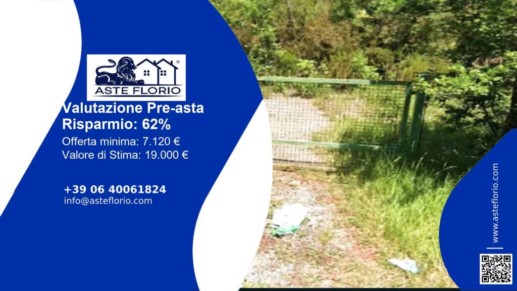 immagine annuncio 1 di 12