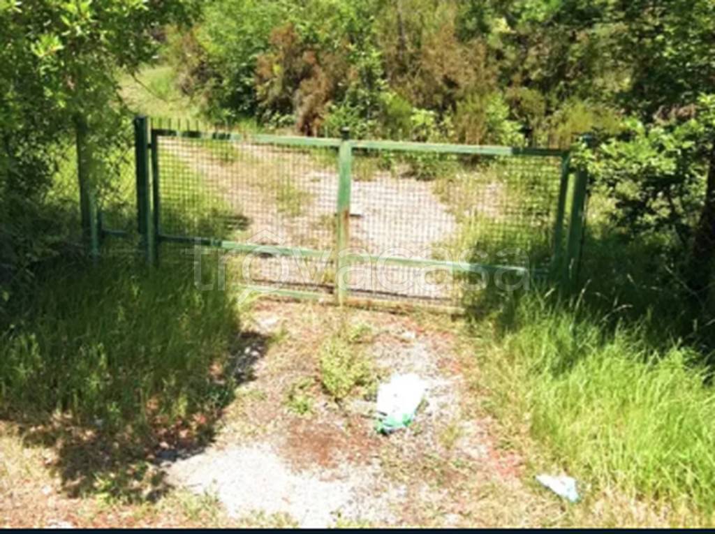 immagine annuncio 10 di 11