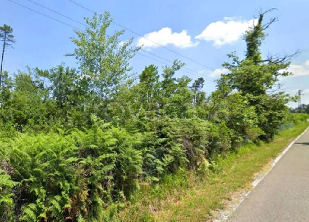 immagine annuncio 9 di 11