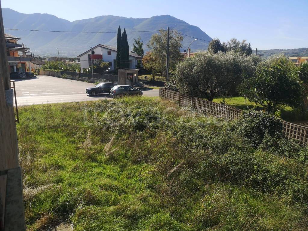 immagine annuncio 11 di 12