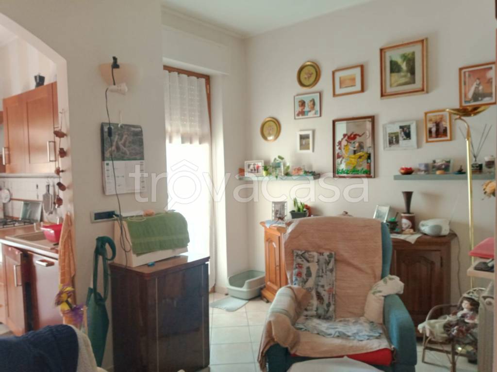 immagine annuncio 4 di 13