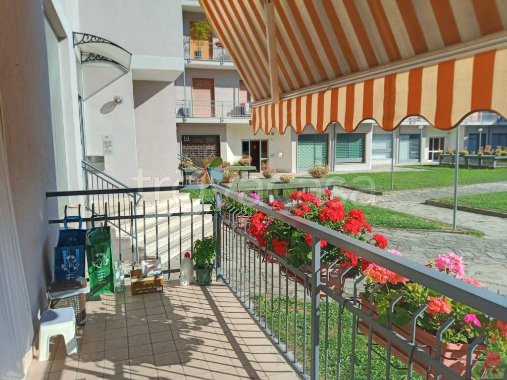 immagine annuncio 11 di 13