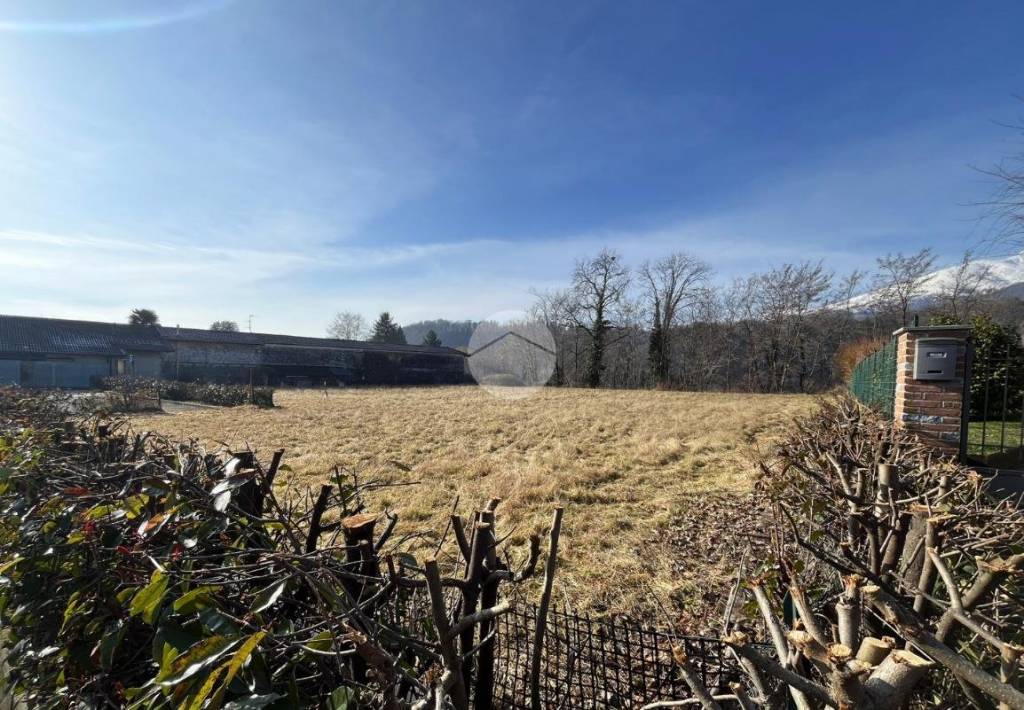 immagine annuncio 1 di 13