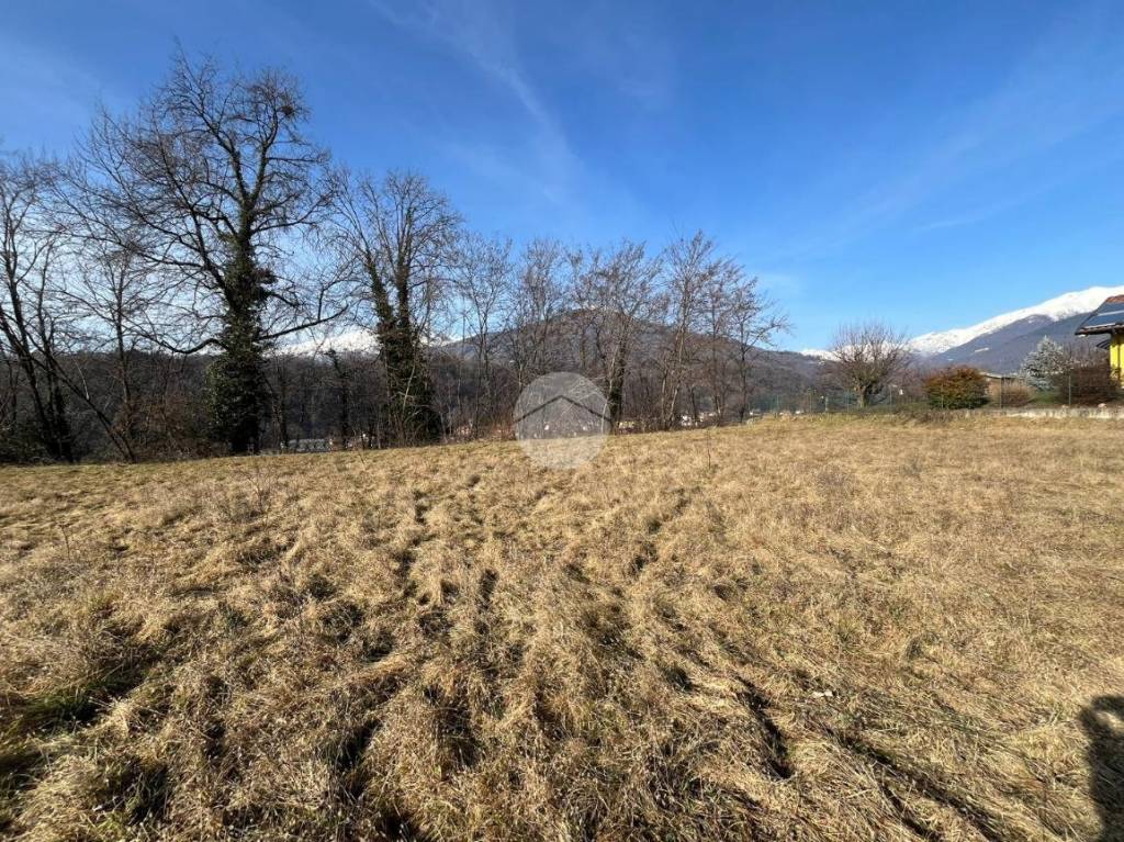 immagine annuncio 2 di 13