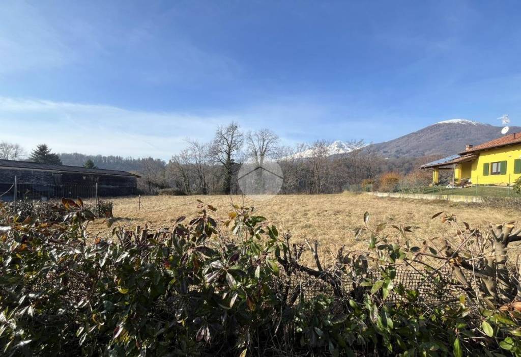 immagine annuncio 3 di 13