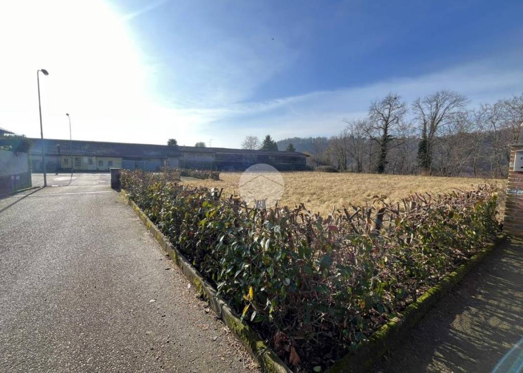 immagine annuncio 4 di 13