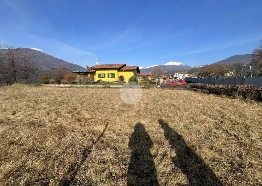 immagine annuncio 5 di 13