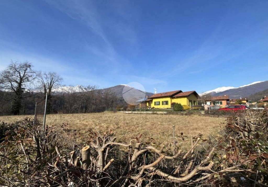 immagine annuncio 7 di 13