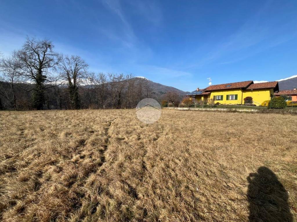 immagine annuncio 9 di 13