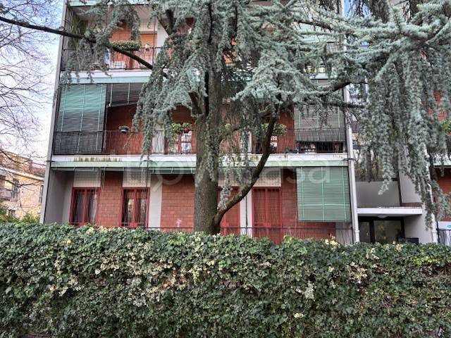 immagine annuncio 4 di 14