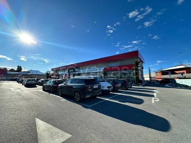 immagine annuncio 2 di 14