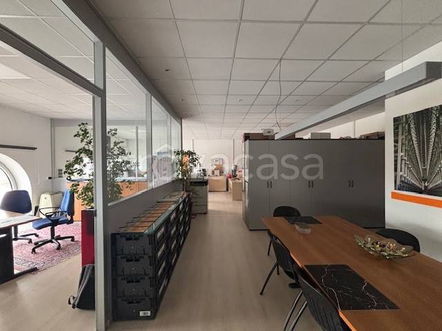 immagine annuncio 4 di 14