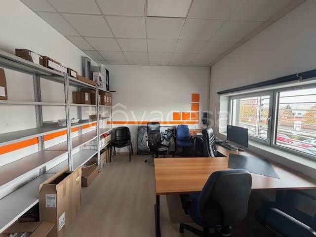 immagine annuncio 7 di 14