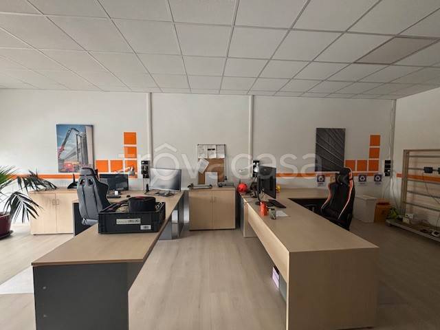 immagine annuncio 9 di 14