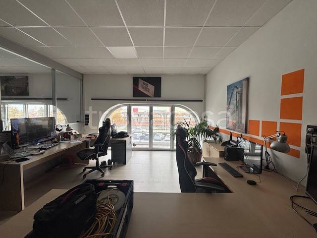 immagine annuncio 10 di 14