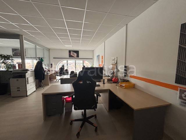 immagine annuncio 11 di 14