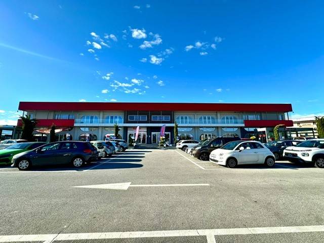 immagine annuncio 12 di 14