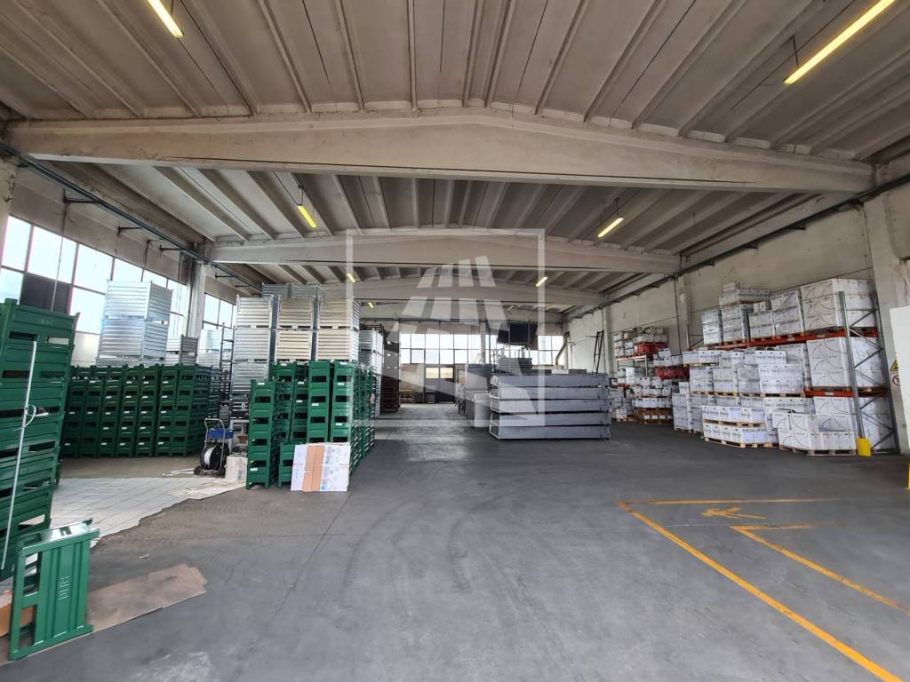 immagine annuncio 2 di 15