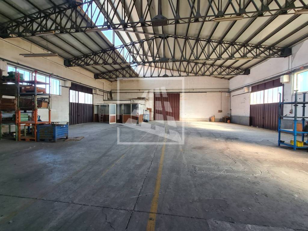 immagine annuncio 5 di 15