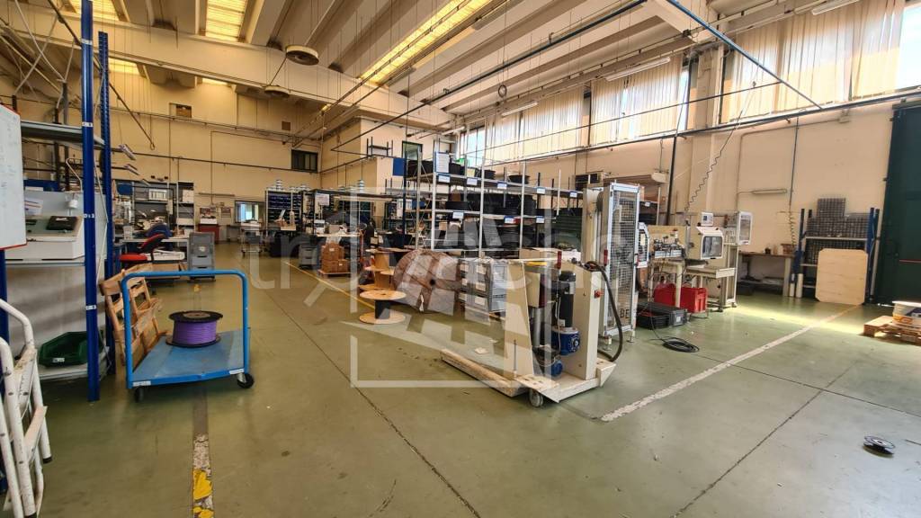 immagine annuncio 13 di 15