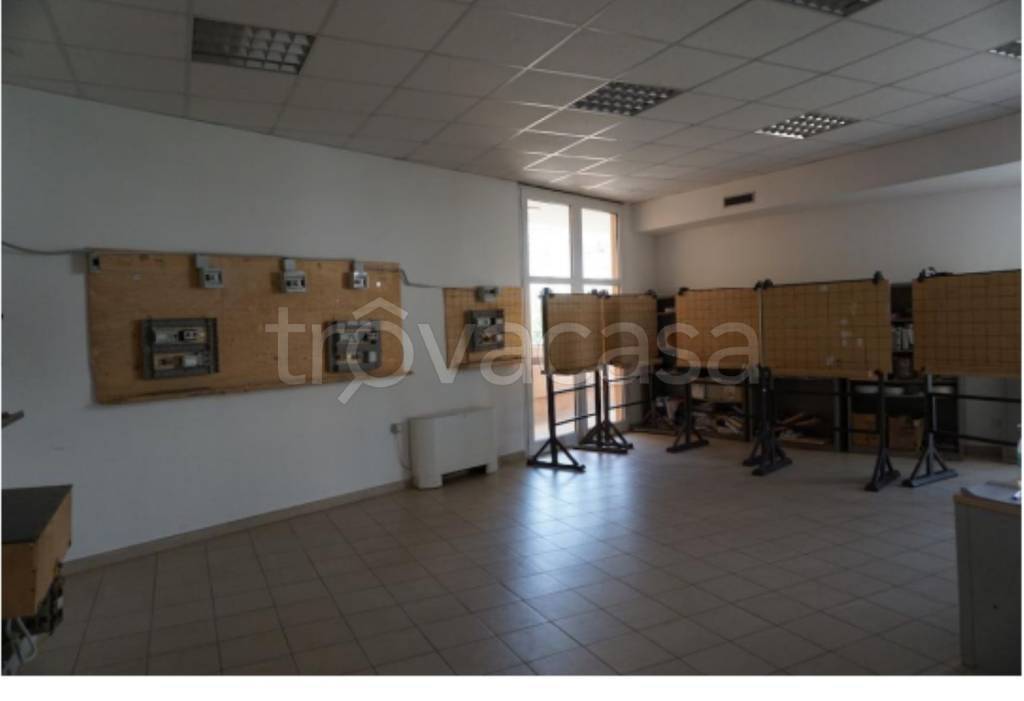 immagine annuncio 1 di 14